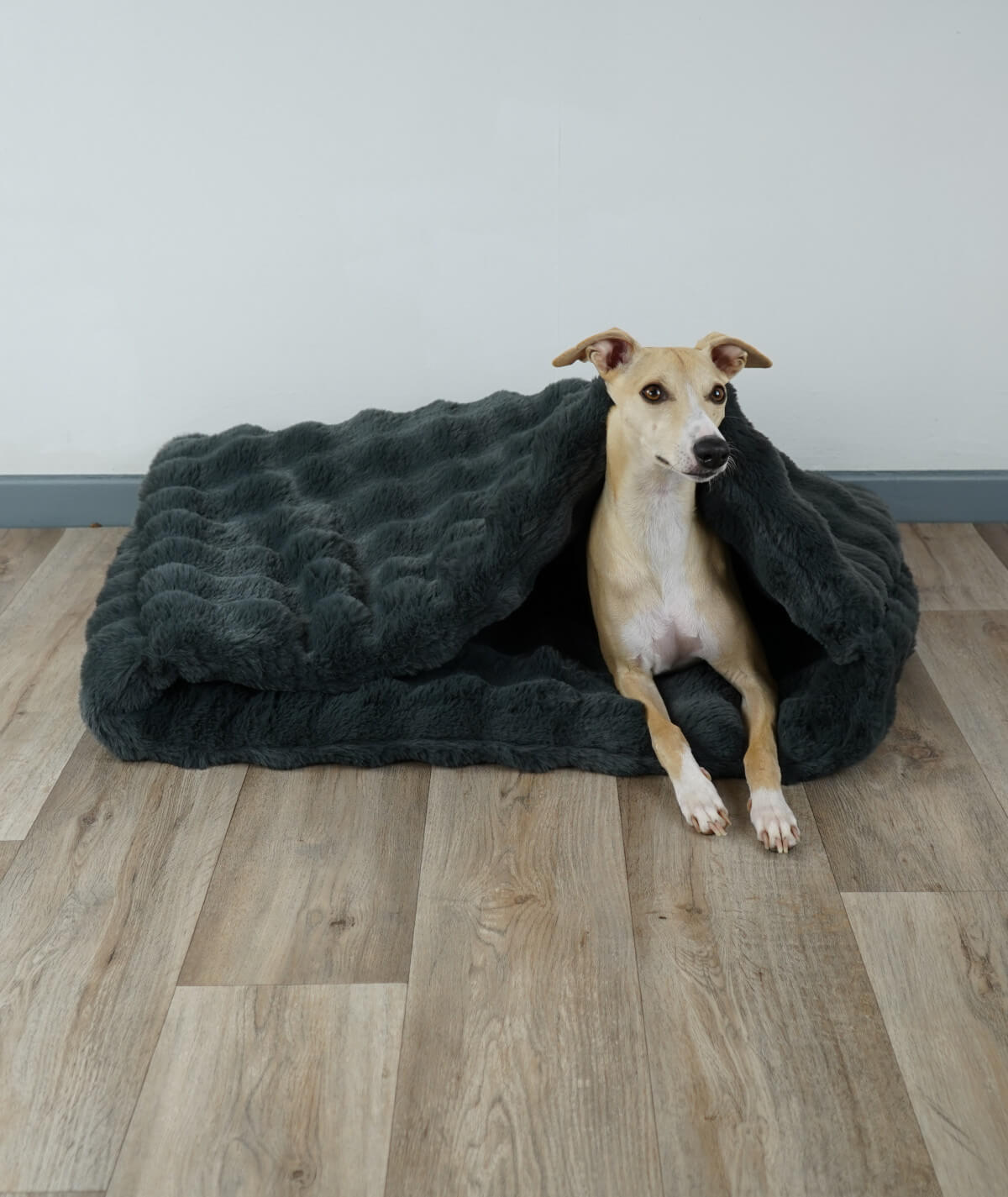 Pantoffeltas Strepen