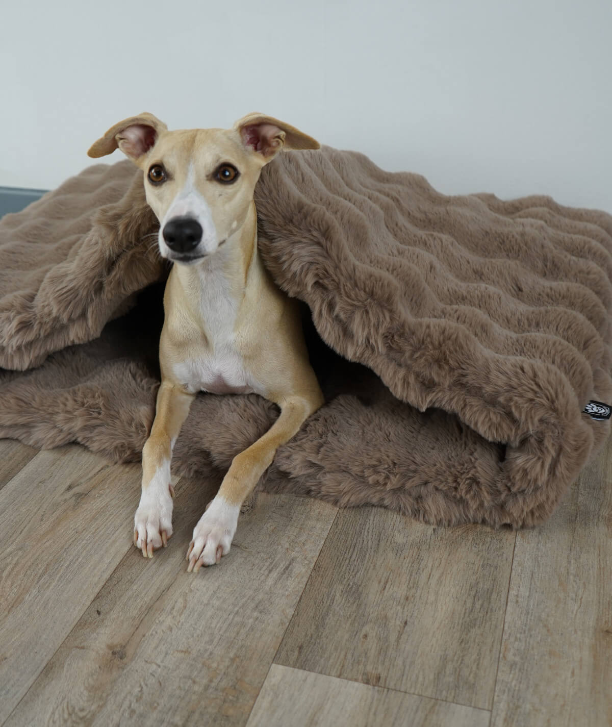 Pantoffeltas Strepen