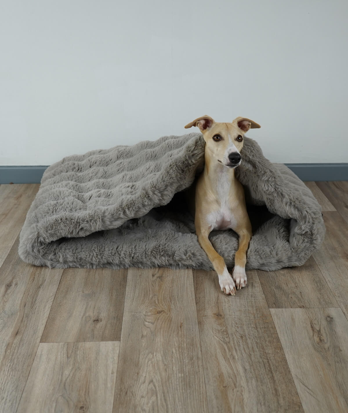 Pantoffeltas Strepen