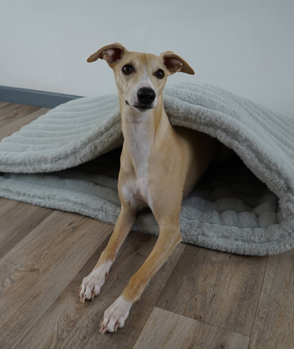 Schlupfsack High Exklusiv