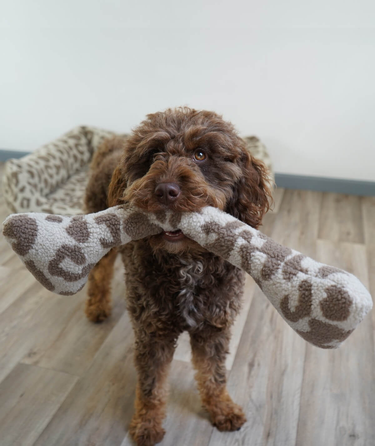 Schüttelknochen Hundespielzeug aus Teddy – robust, weich & waschbar