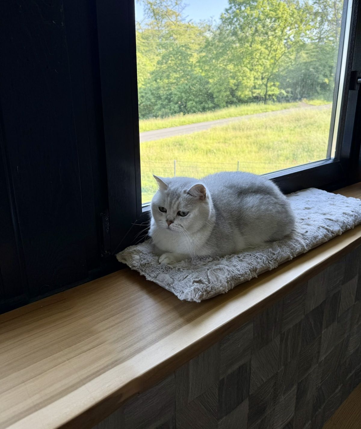 Fensterbankdecke für Katzen weich, waschbar & rutschfest