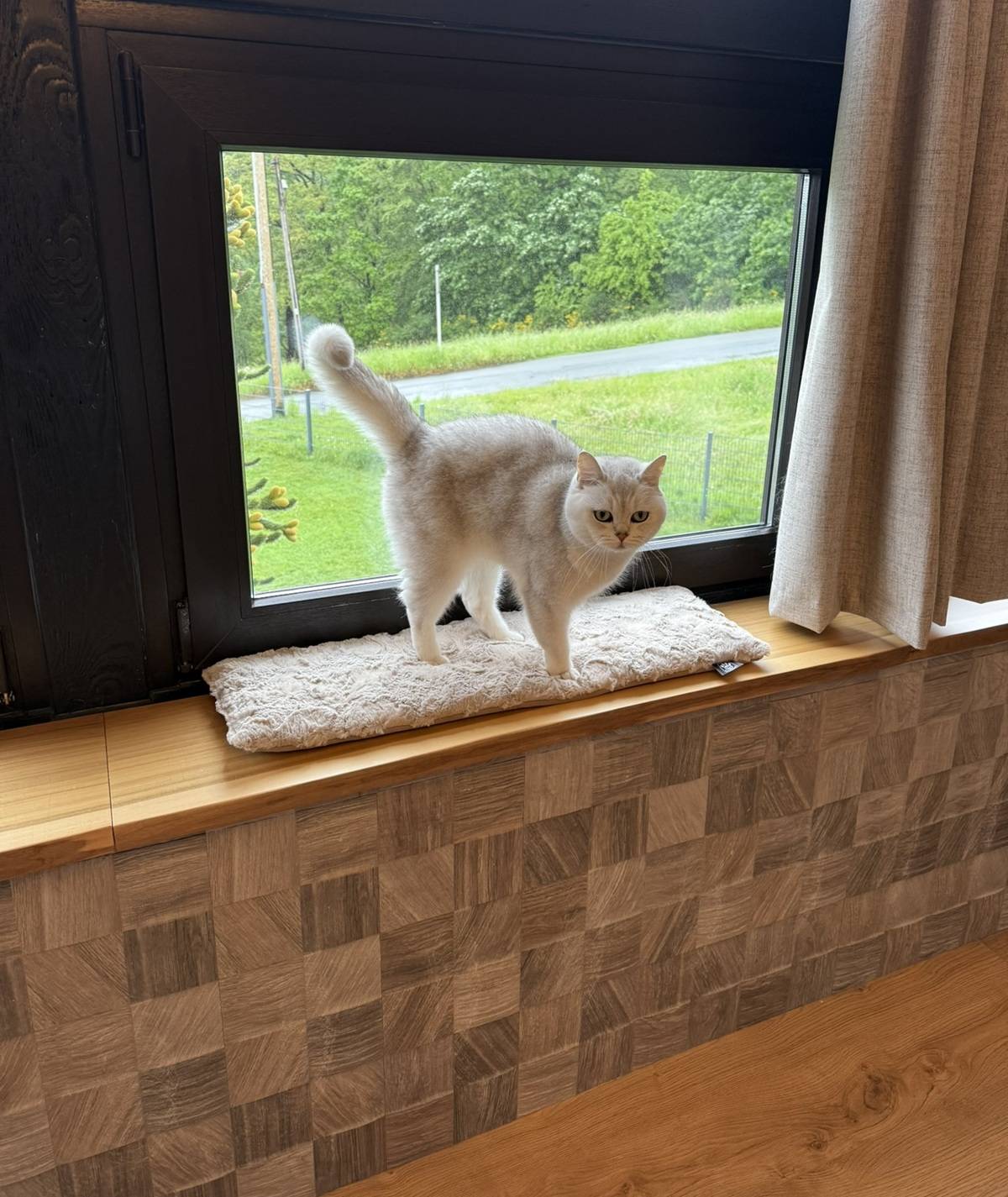 Fensterbankdecke für Katzen weich, waschbar & rutschfest