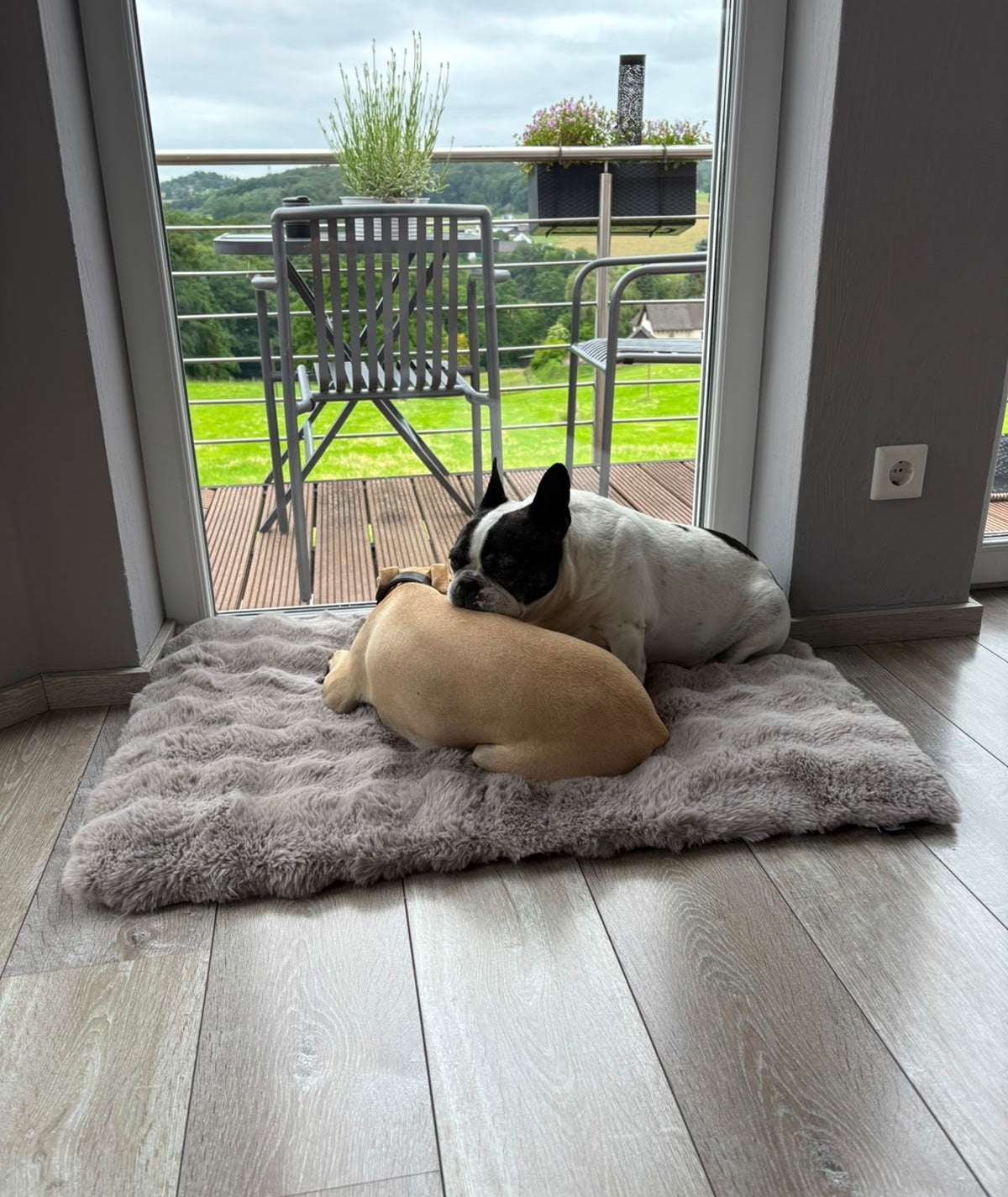 Dog blanket cord with filling