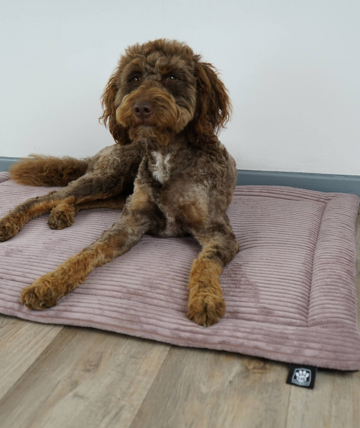 Couverture pour chien en corde avec rembourrage