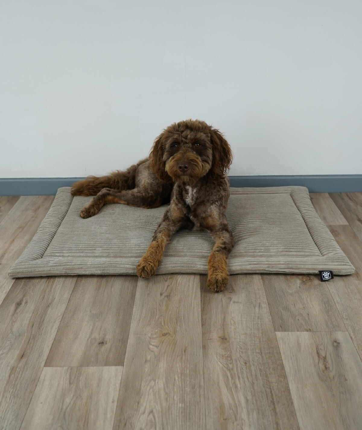 Couverture pour chien en corde avec rembourrage