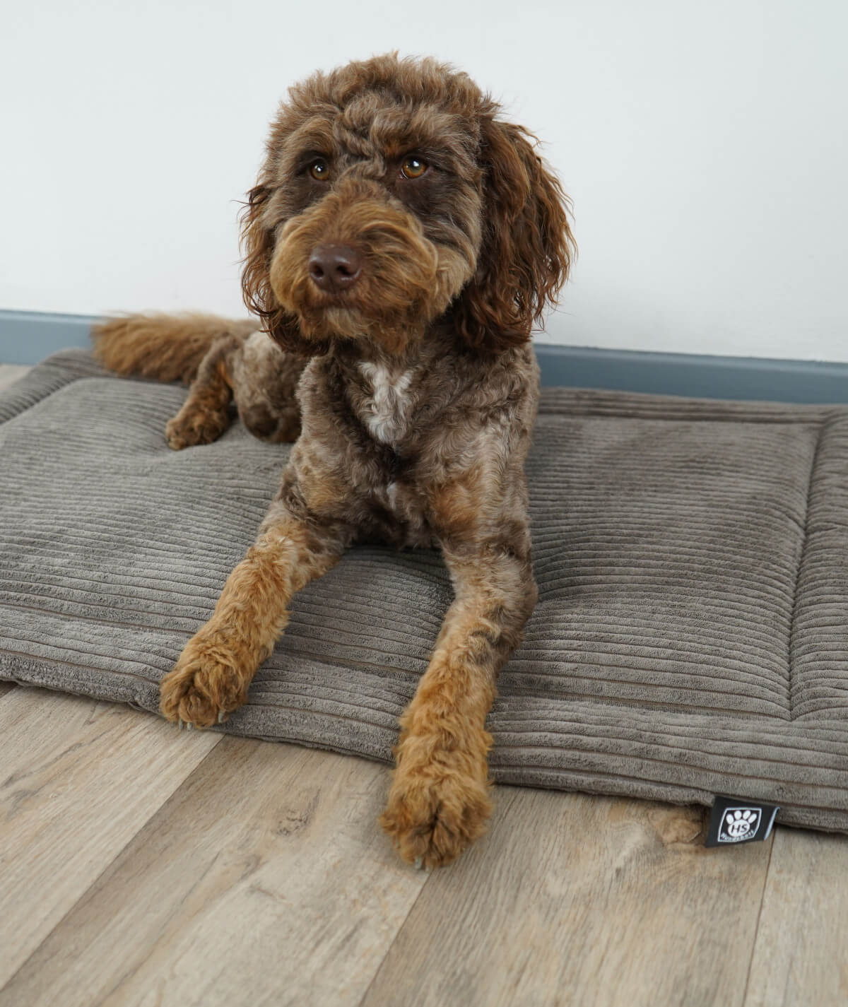 Couverture pour chien en corde avec rembourrage