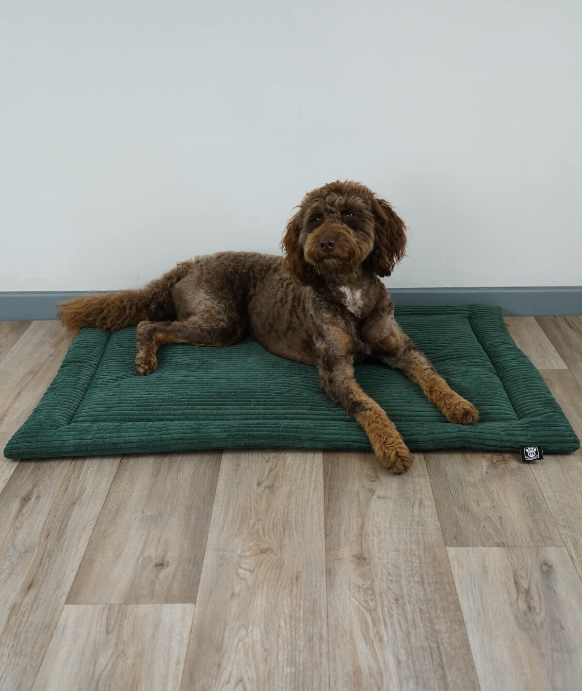 Couverture pour chien en corde avec rembourrage