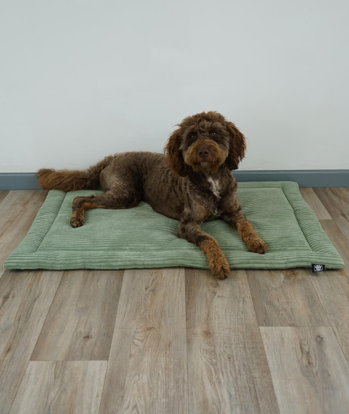 Couverture pour chien en corde avec rembourrage