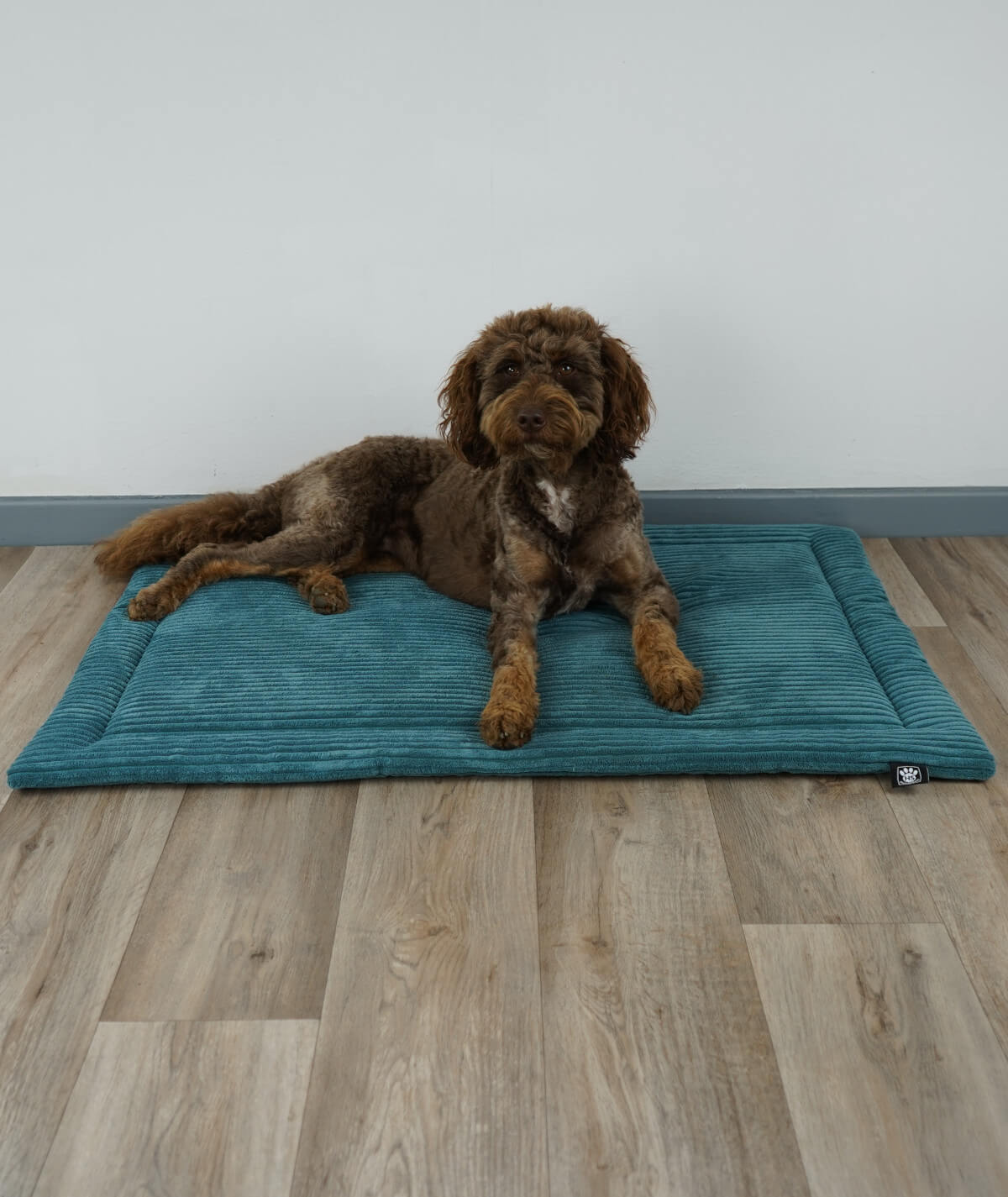 Couverture pour chien en corde avec rembourrage