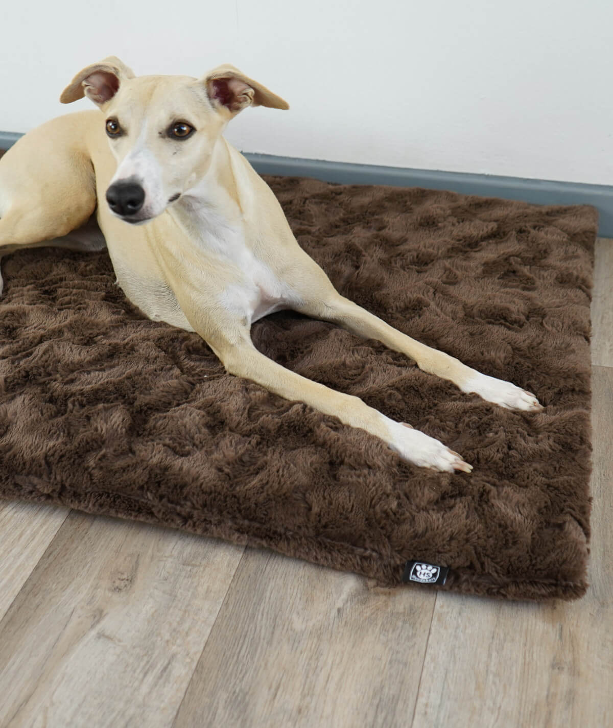 Exclusive dog blanket with plain color filling