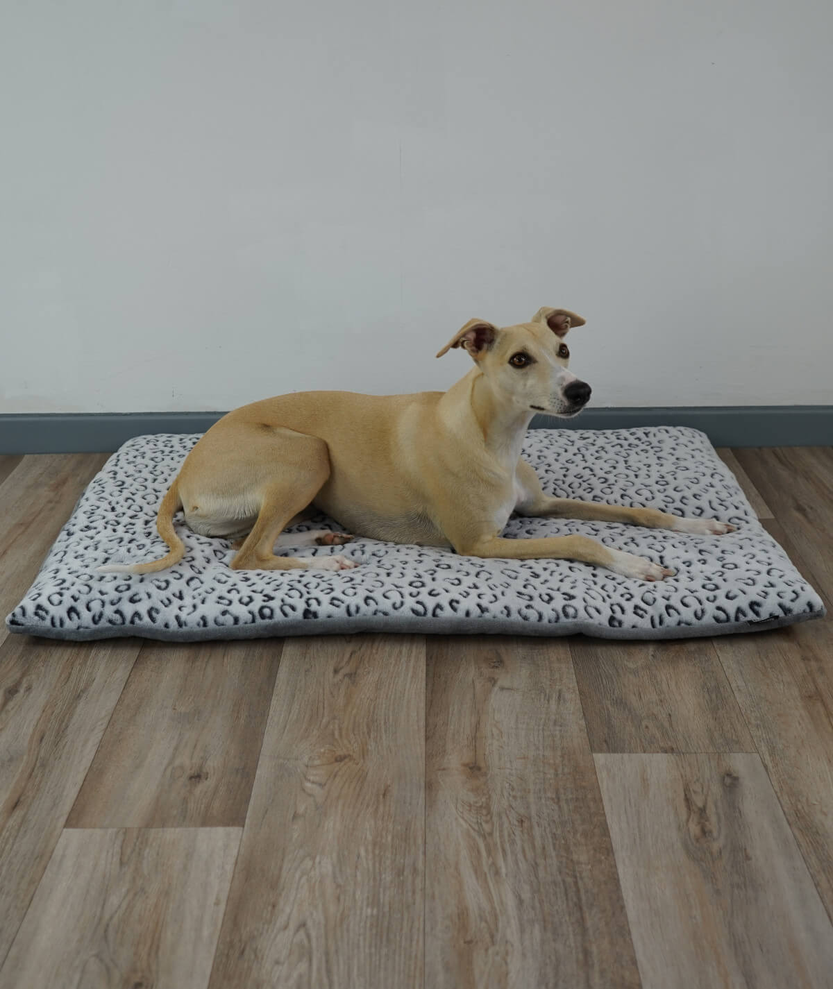 Hundedecke aus Motiv-Fleece mit Füllung – weich, gemütlich & waschbar