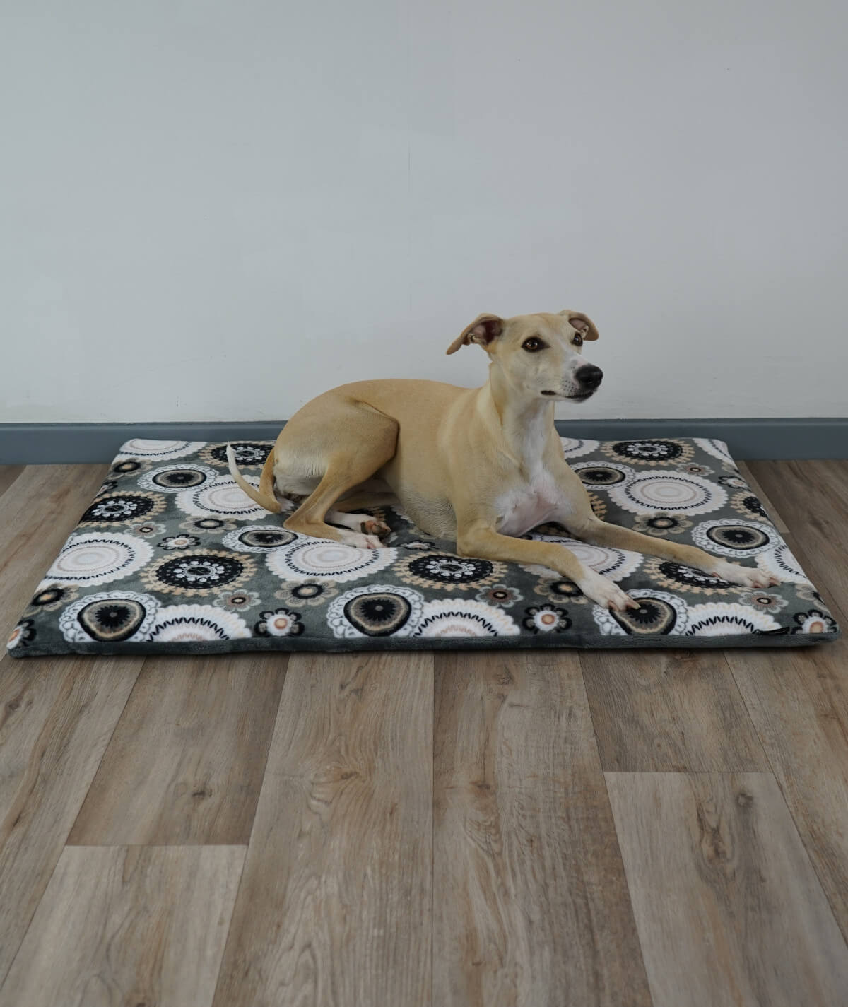 Hundedecke aus Motiv-Fleece mit Füllung – weich, gemütlich & waschbar