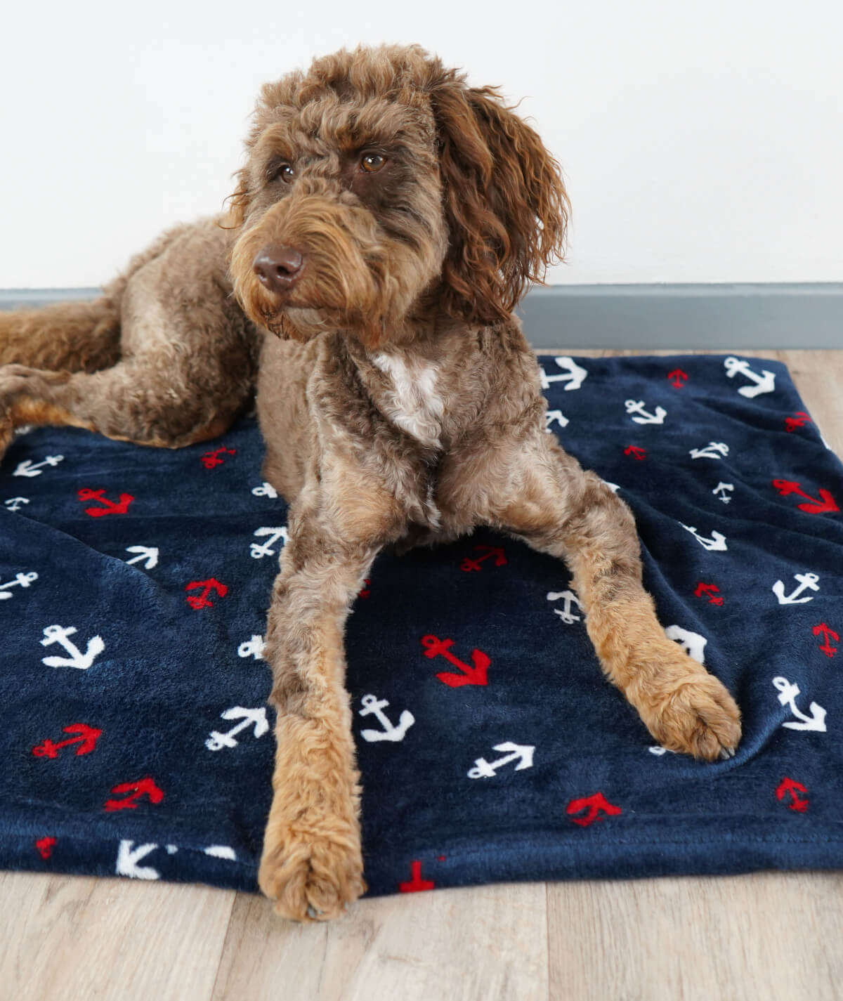 Hundedecke aus Motiv-Fleece ohne Füllung – weich, flexibel & waschbar
