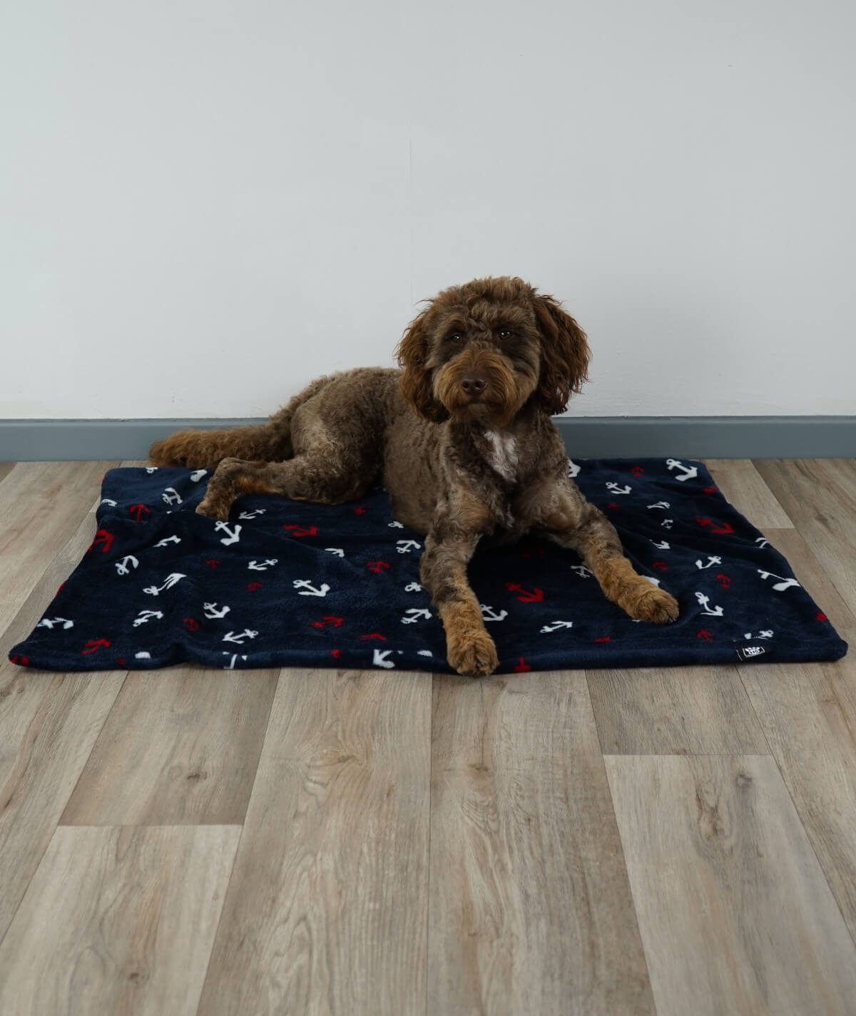 Hundedecke aus Motiv-Fleece ohne Füllung – weich, flexibel & waschbar
