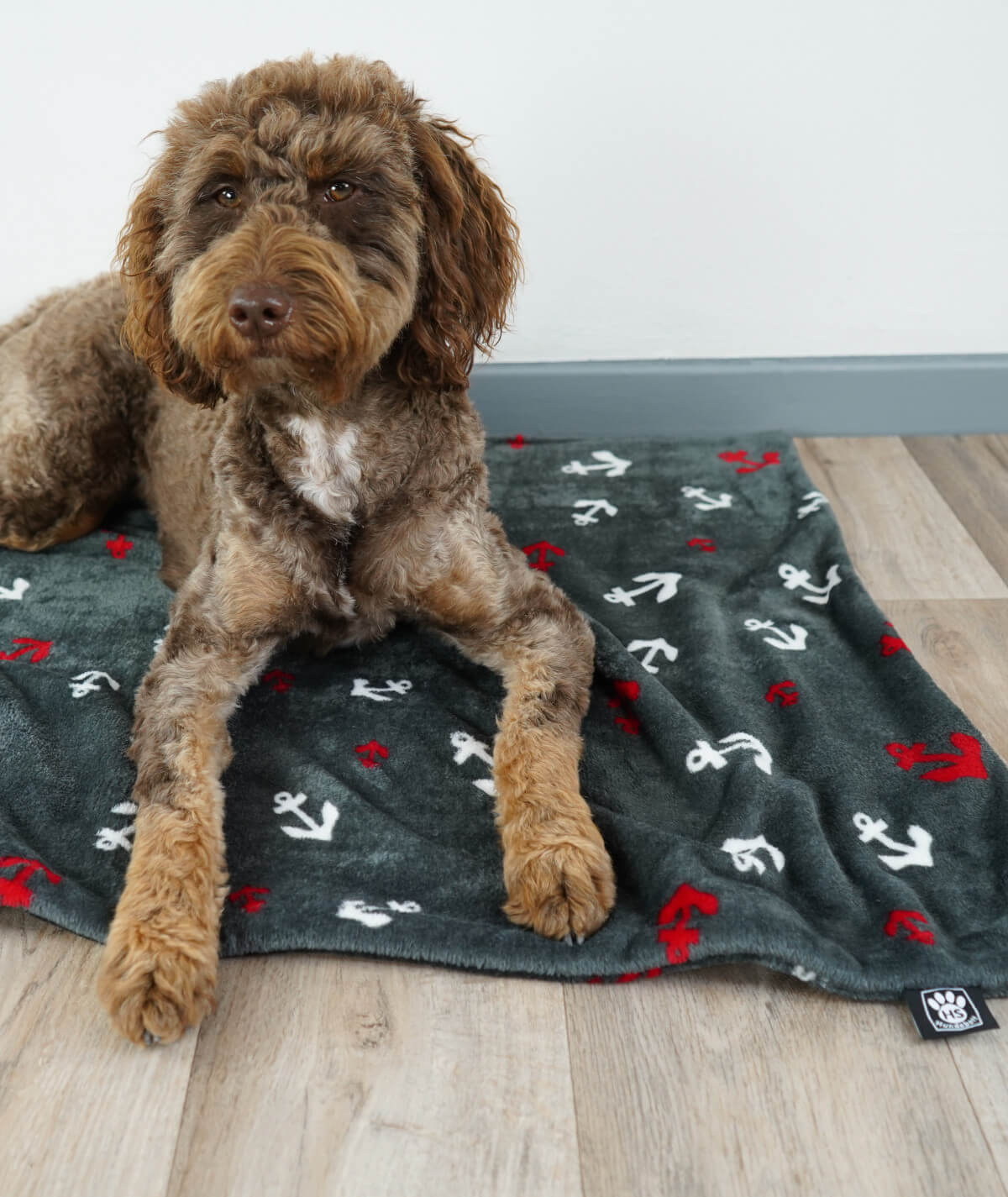 Hundedecke aus Motiv-Fleece ohne Füllung – weich, flexibel & waschbar