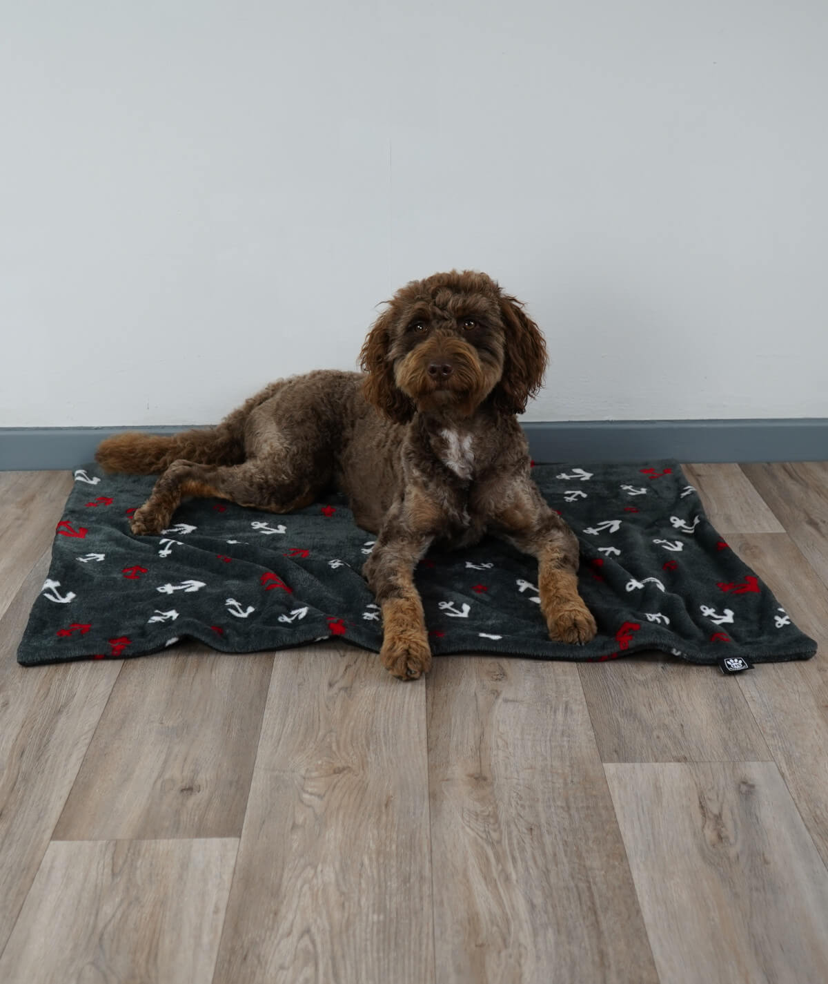 Hundedecke aus Motiv-Fleece ohne Füllung – weich, flexibel & waschbar