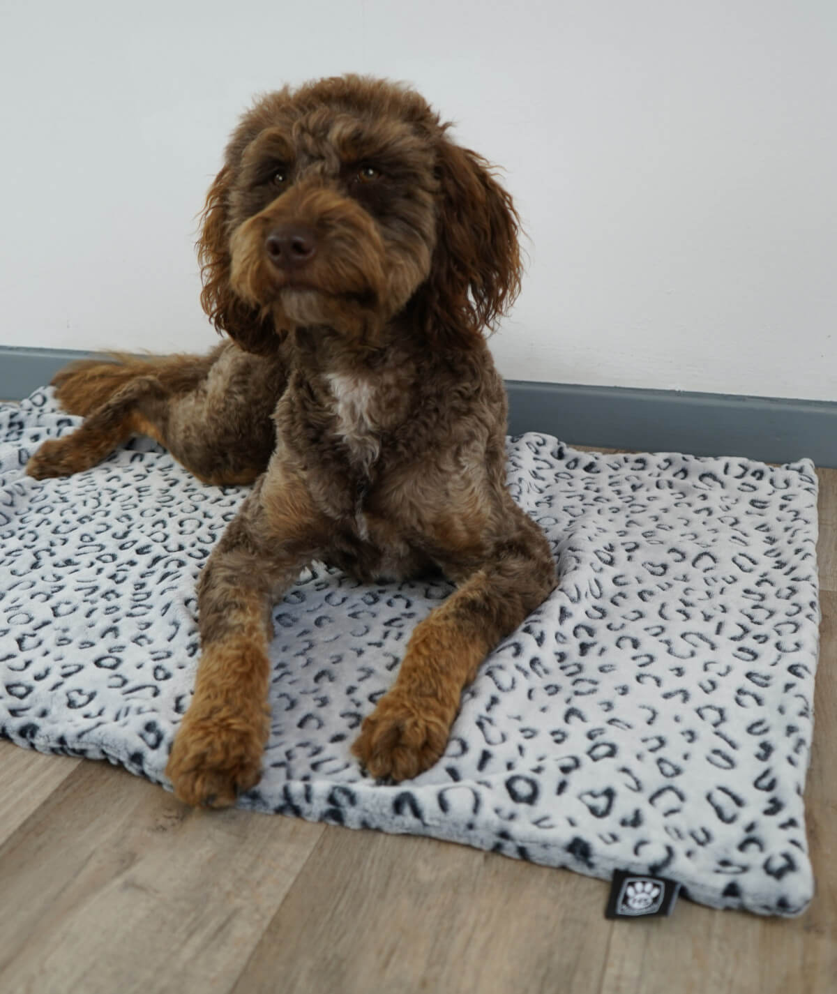 Hundedecke aus Motiv-Fleece ohne Füllung – weich, flexibel & waschbar