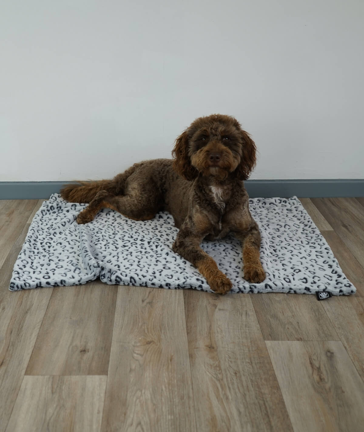 Hundedecke aus Motiv-Fleece ohne Füllung – weich, flexibel & waschbar