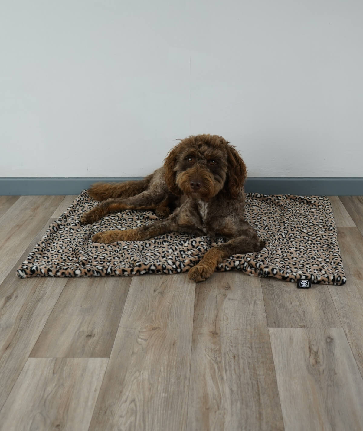 Hundedecke aus Motiv-Fleece ohne Füllung – weich, flexibel & waschbar