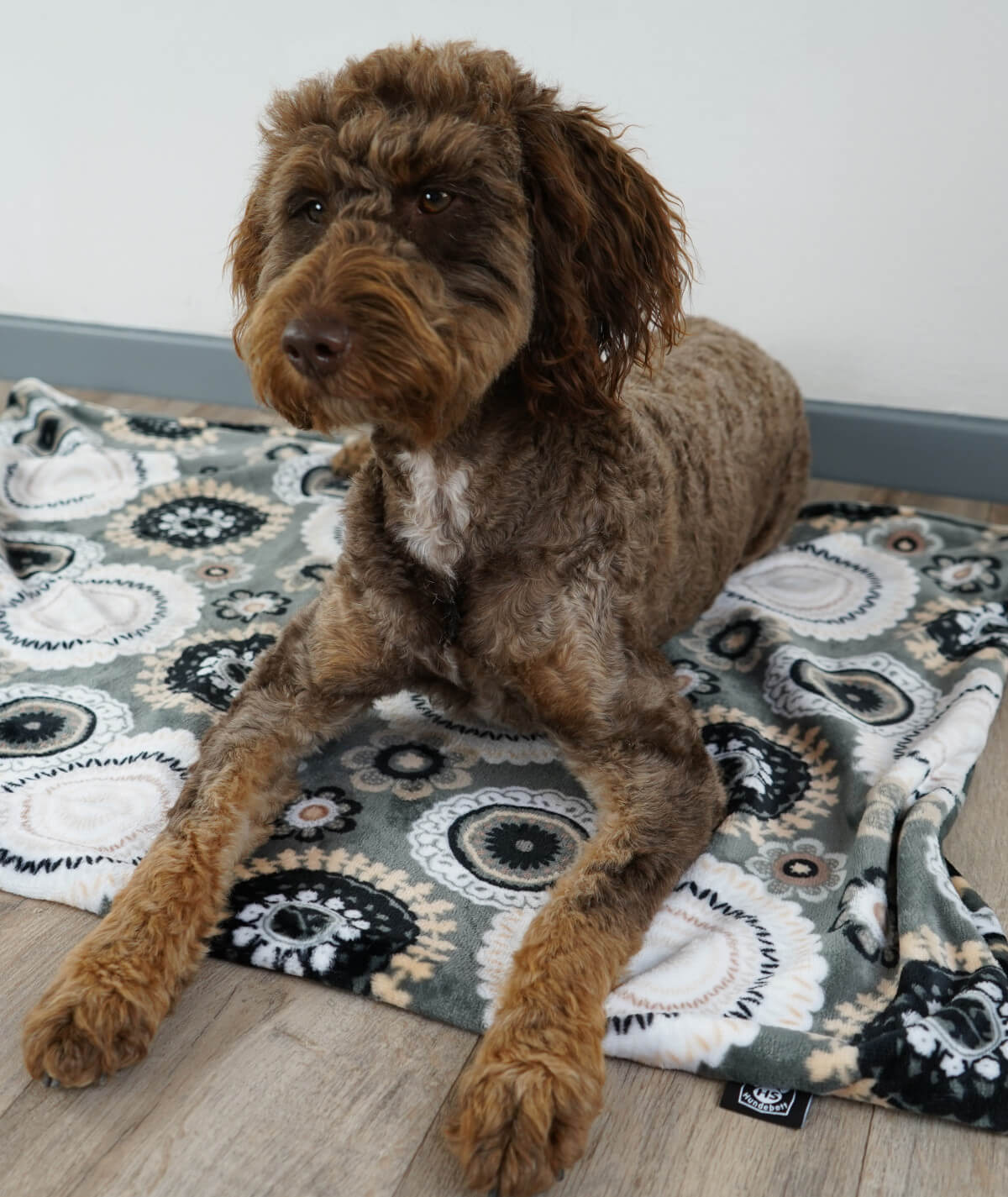 Hundedecke aus Motiv-Fleece ohne Füllung – weich, flexibel & waschbar