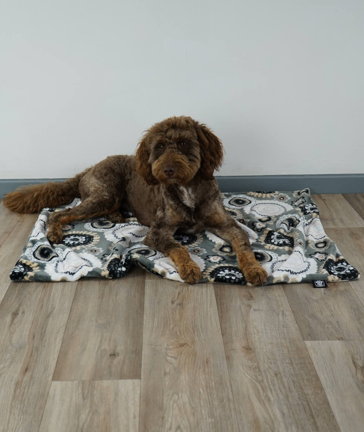 Hundedecke aus Motiv-Fleece ohne Füllung – weich, flexibel & waschbar
