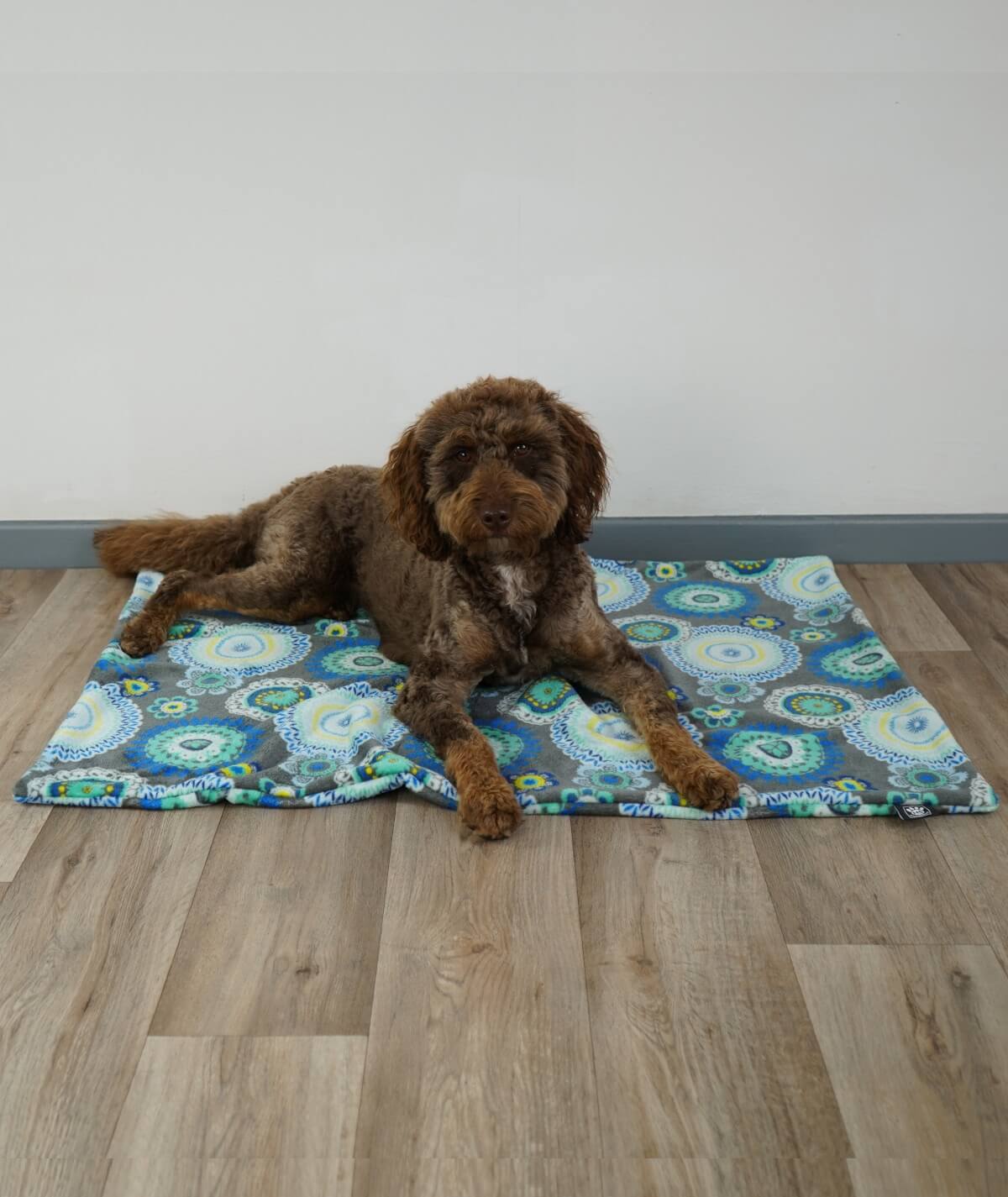 Hundedecke aus Motiv-Fleece ohne Füllung – weich, flexibel & waschbar