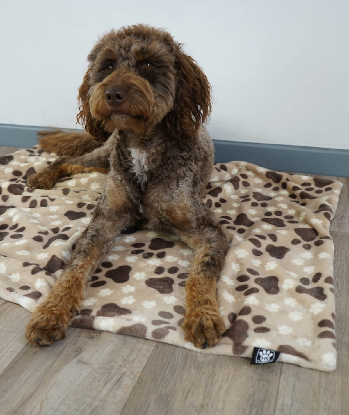 Hundedecke aus Motiv-Fleece ohne Füllung – weich, flexibel & waschbar