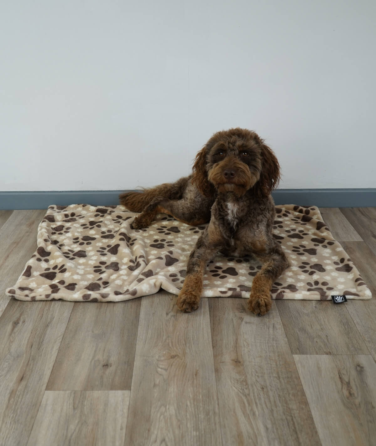 Hundedecke aus Motiv-Fleece ohne Füllung – weich, flexibel & waschbar