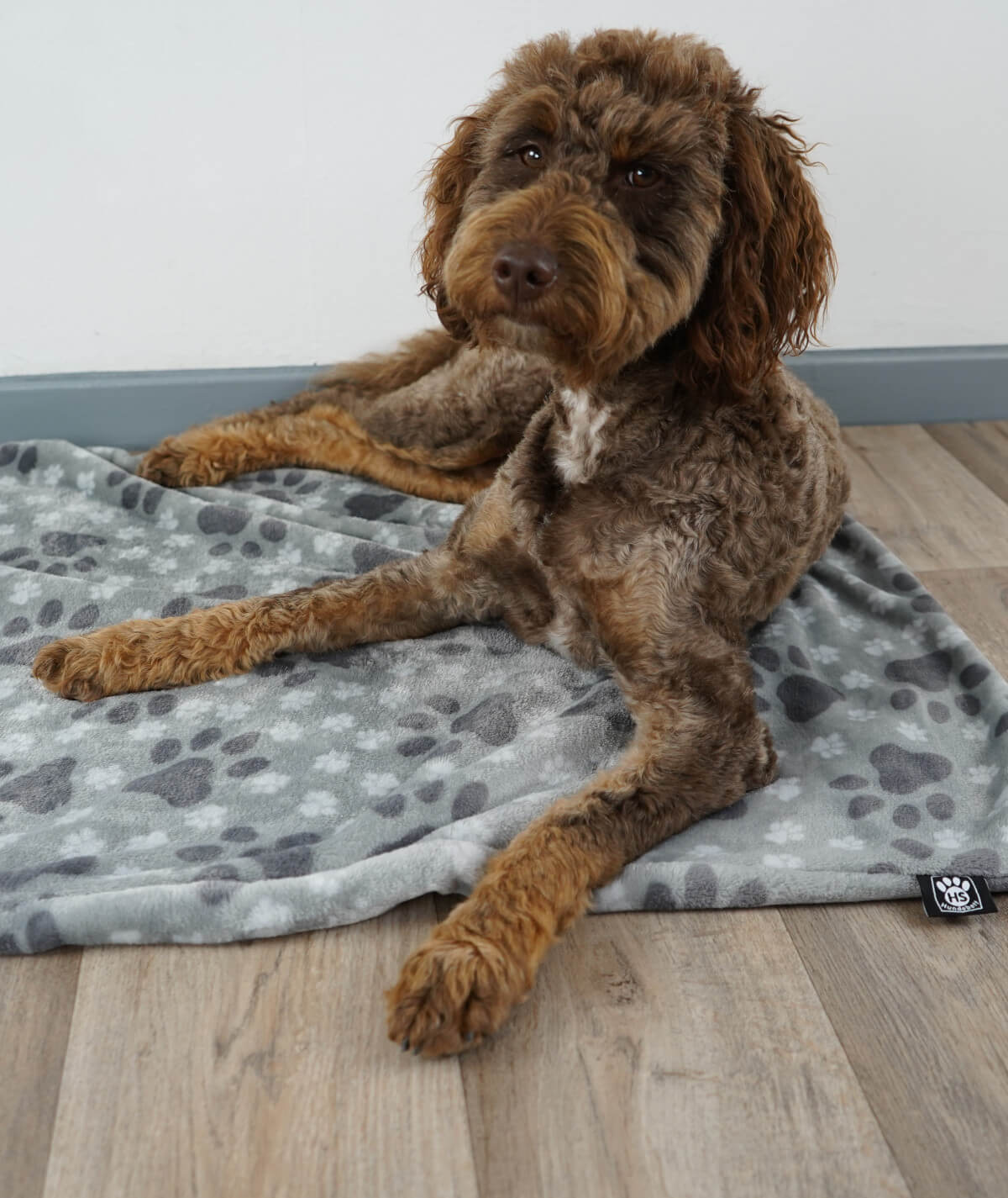Hundedecke aus Motiv-Fleece ohne Füllung – weich, flexibel & waschbar