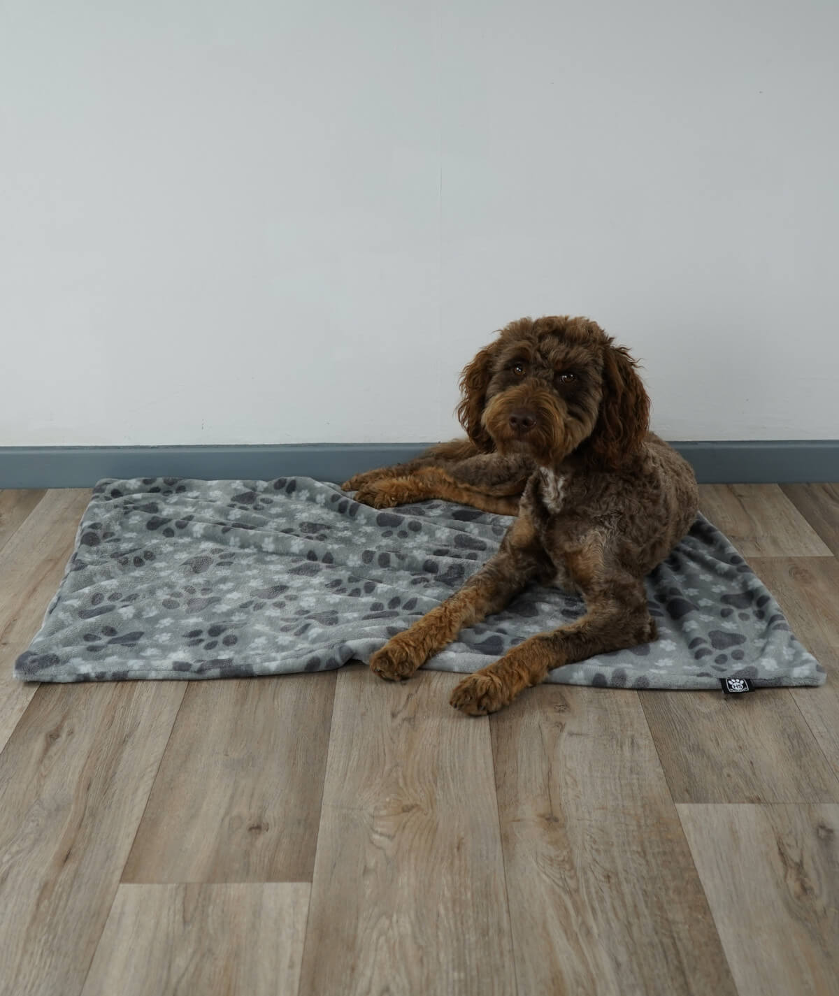 Hundedecke aus Motiv-Fleece ohne Füllung – weich, flexibel & waschbar
