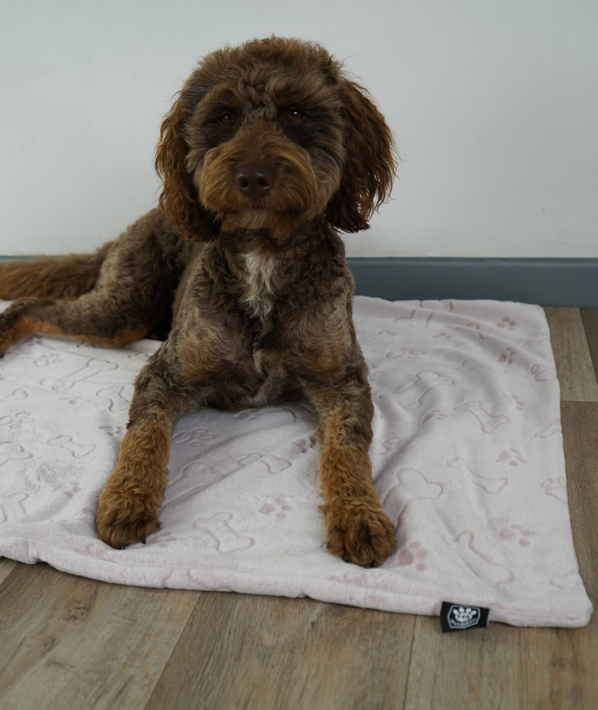 Hundedecke aus Motiv-Fleece ohne Füllung – weich, flexibel & waschbar