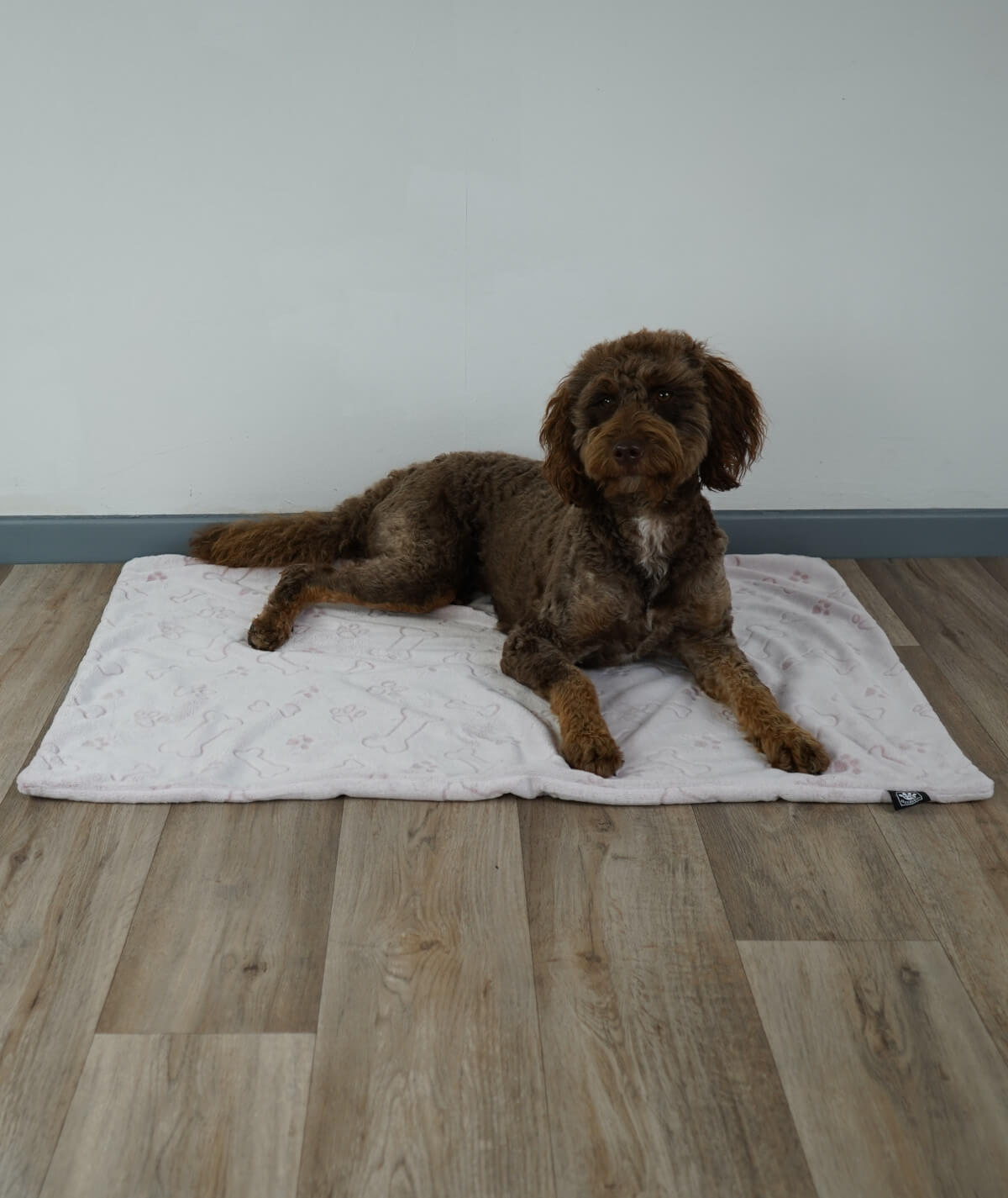 Hundedecke aus Motiv-Fleece ohne Füllung – weich, flexibel & waschbar