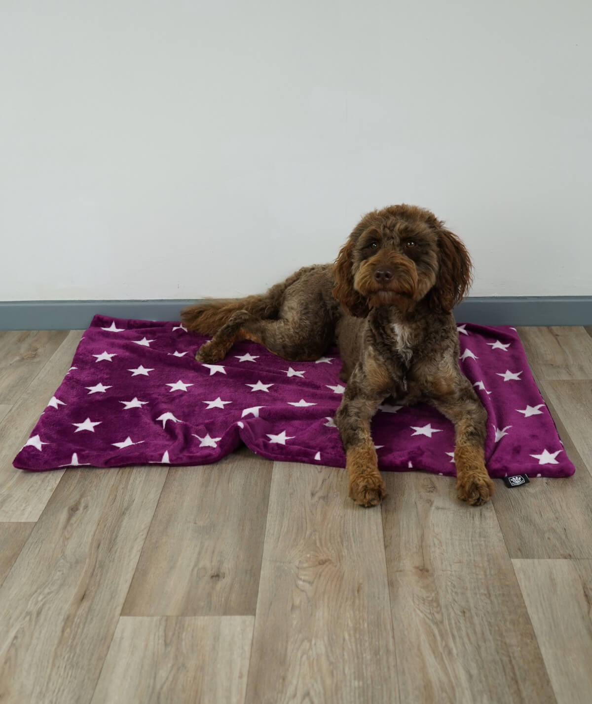 Hundedecke aus Motiv-Fleece ohne Füllung – weich, flexibel & waschbar