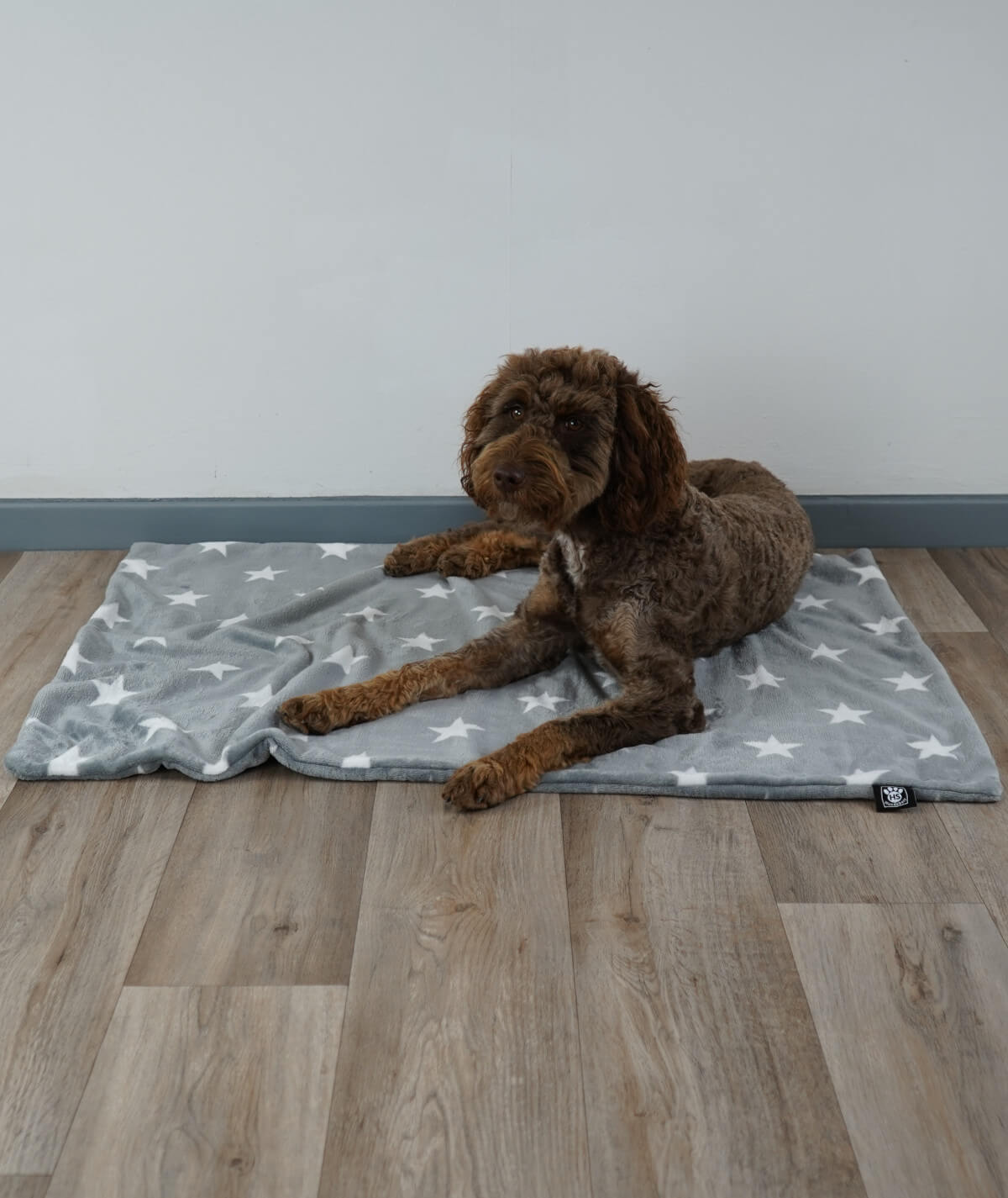 Hundedecke aus Motiv-Fleece ohne Füllung – weich, flexibel & waschbar
