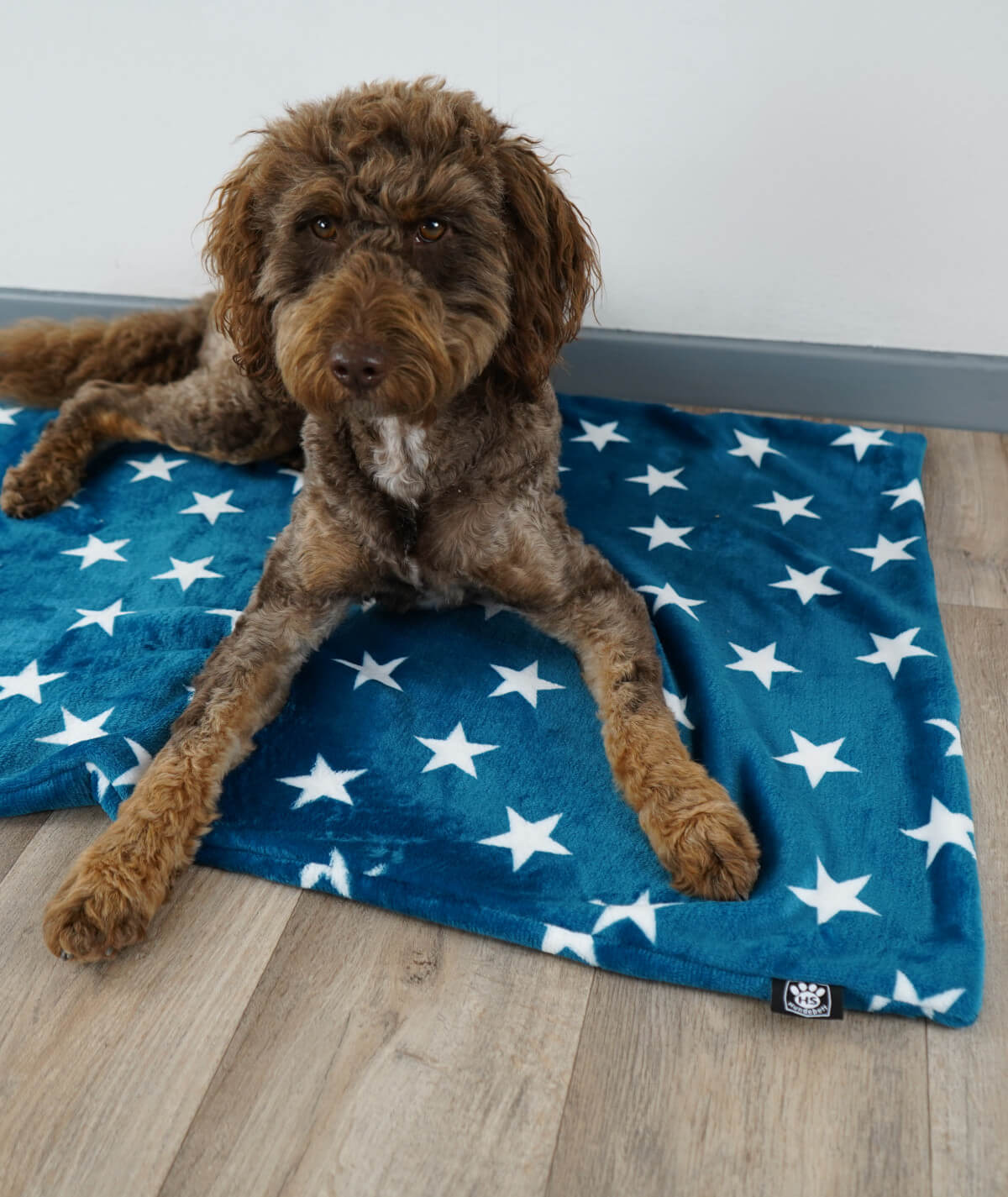 Hundedecke aus Motiv-Fleece ohne Füllung – weich, flexibel & waschbar