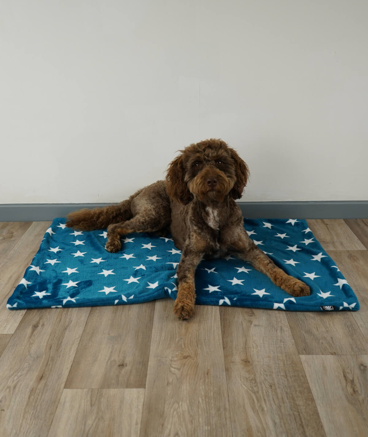 Hundedecke aus Motiv-Fleece ohne Füllung – weich, flexibel & waschbar