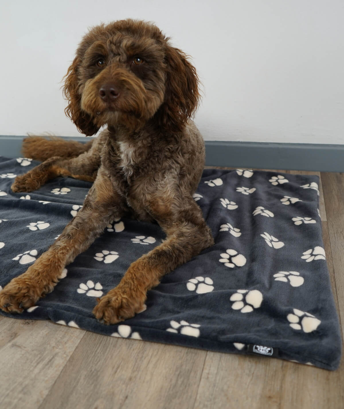 Hundedecke aus Motiv-Fleece ohne Füllung – weich, flexibel & waschbar