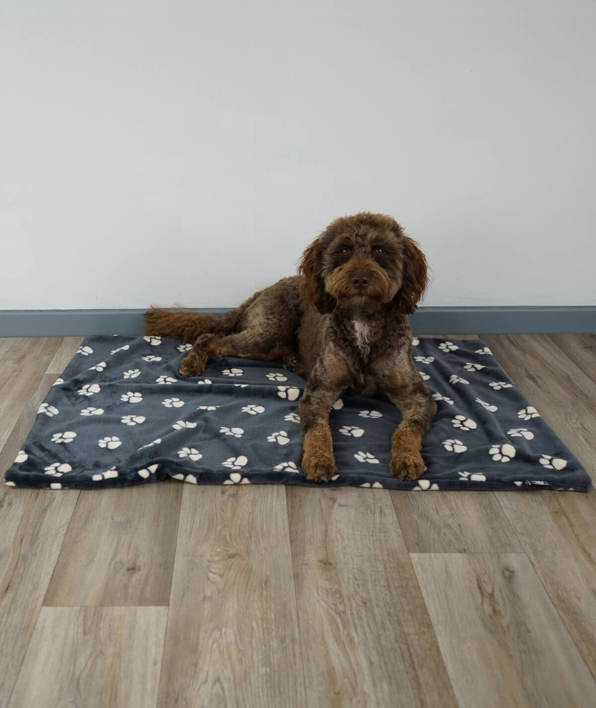 Hundedecke aus Motiv-Fleece ohne Füllung – weich, flexibel & waschbar