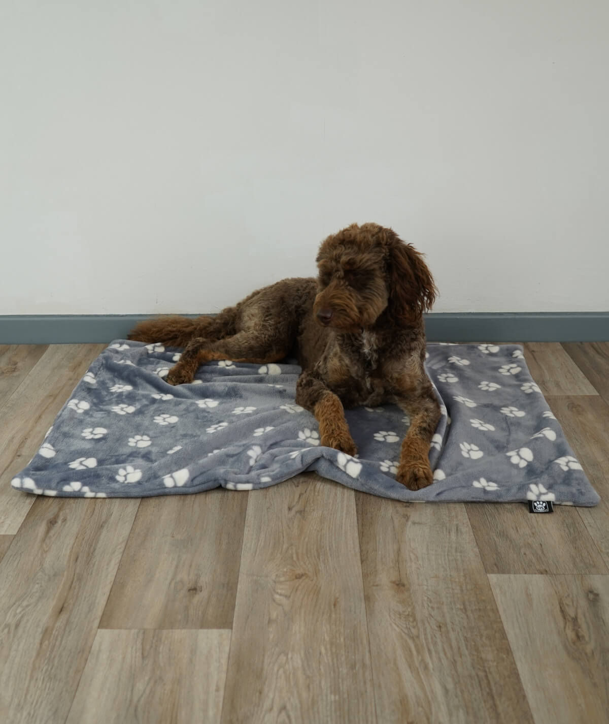 Hundedecke aus Motiv-Fleece ohne Füllung – weich, flexibel & waschbar