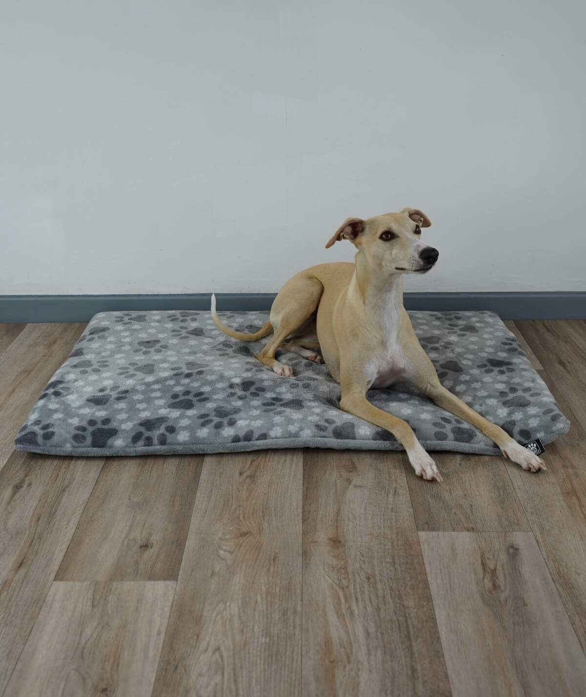 Hundedecke aus Motiv-Fleece mit Füllung – weich, gemütlich & waschbar