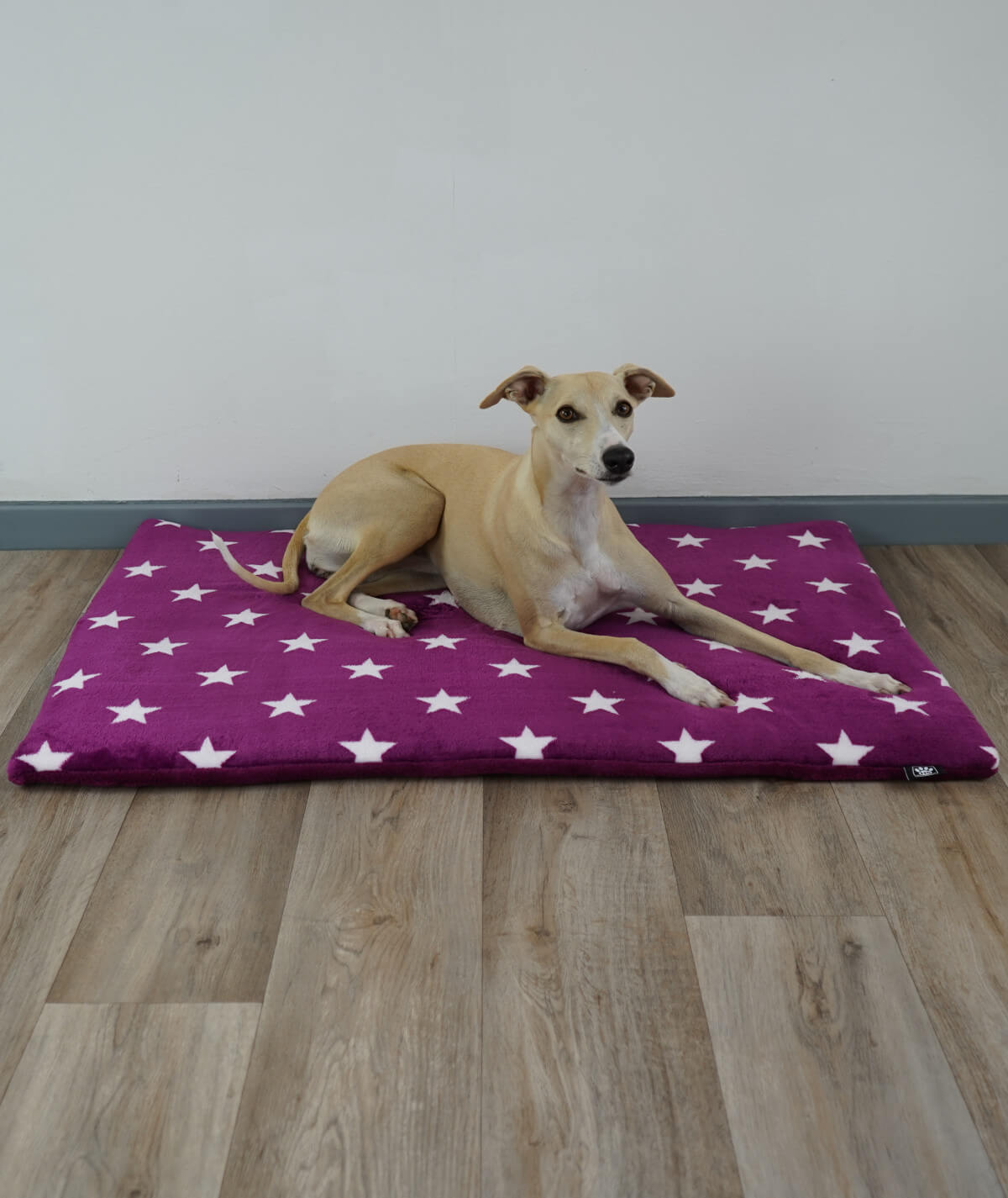 Hundedecke aus Motiv-Fleece mit Füllung – weich, gemütlich & waschbar