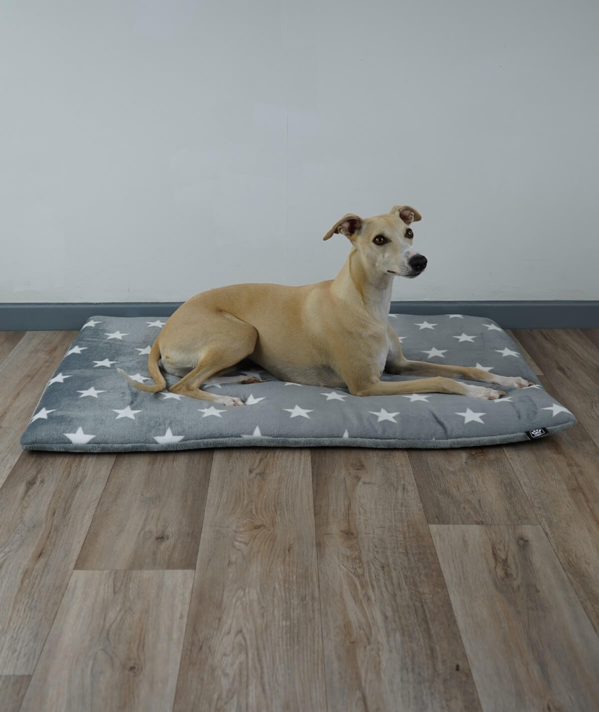 Hundedecke aus Motiv-Fleece mit Füllung – weich, gemütlich & waschbar