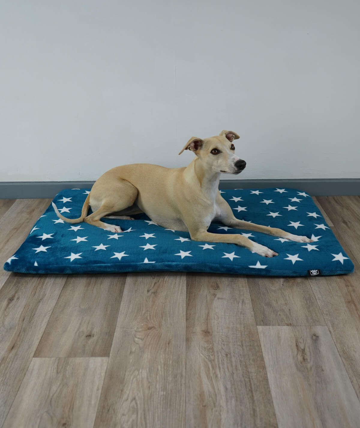 Hundedecke aus Motiv-Fleece mit Füllung – weich, gemütlich & waschbar