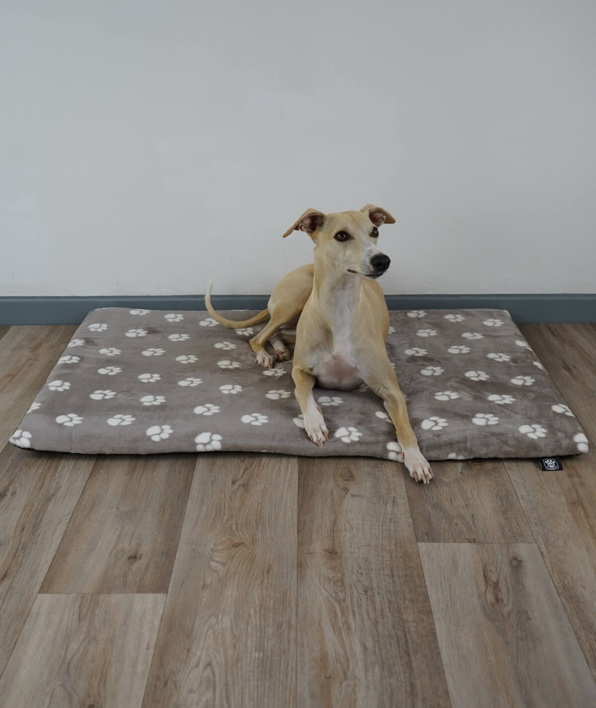 Hundedecke aus Motiv-Fleece mit Füllung – weich, gemütlich & waschbar