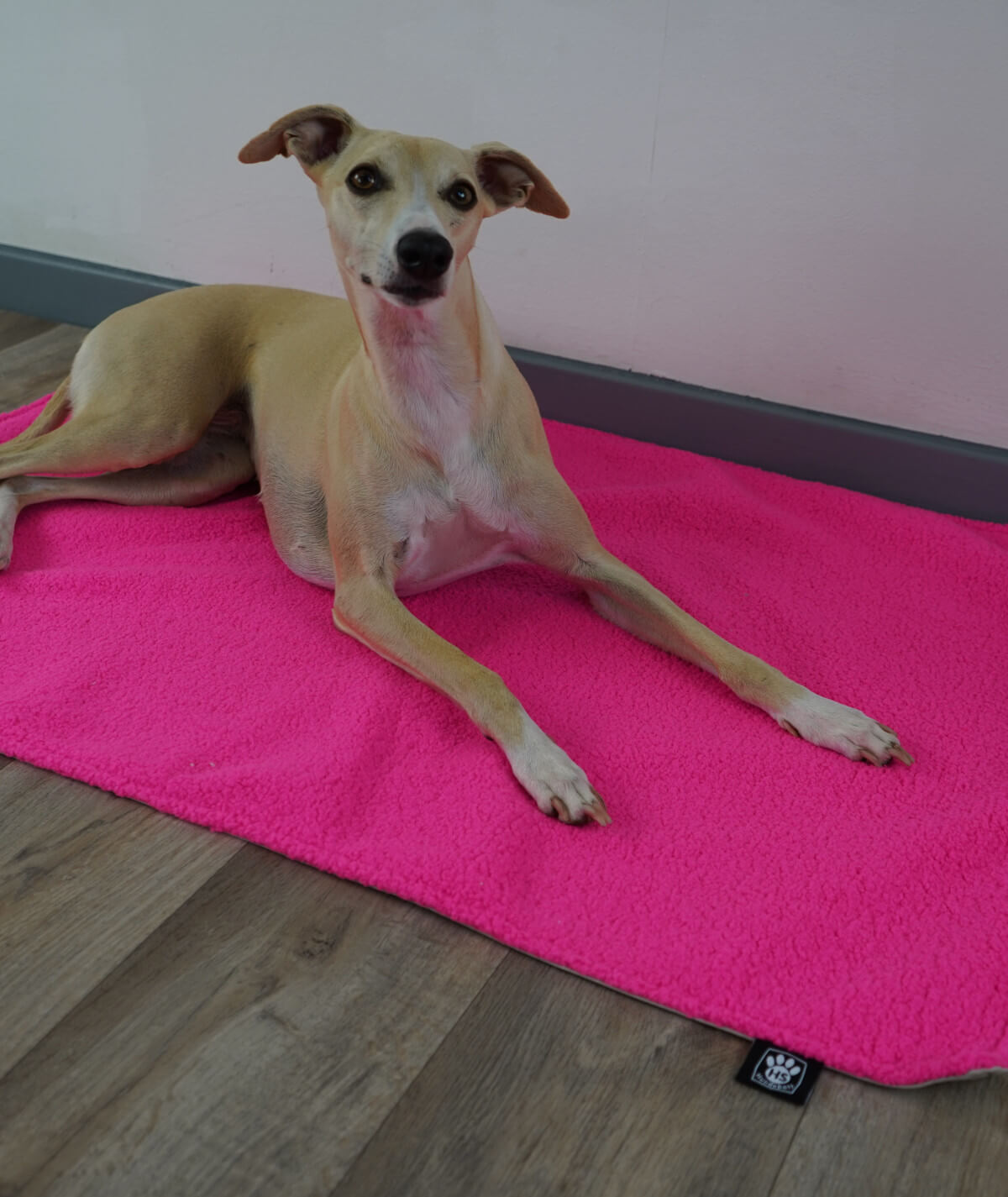 Couverture pour chien d'extérieur