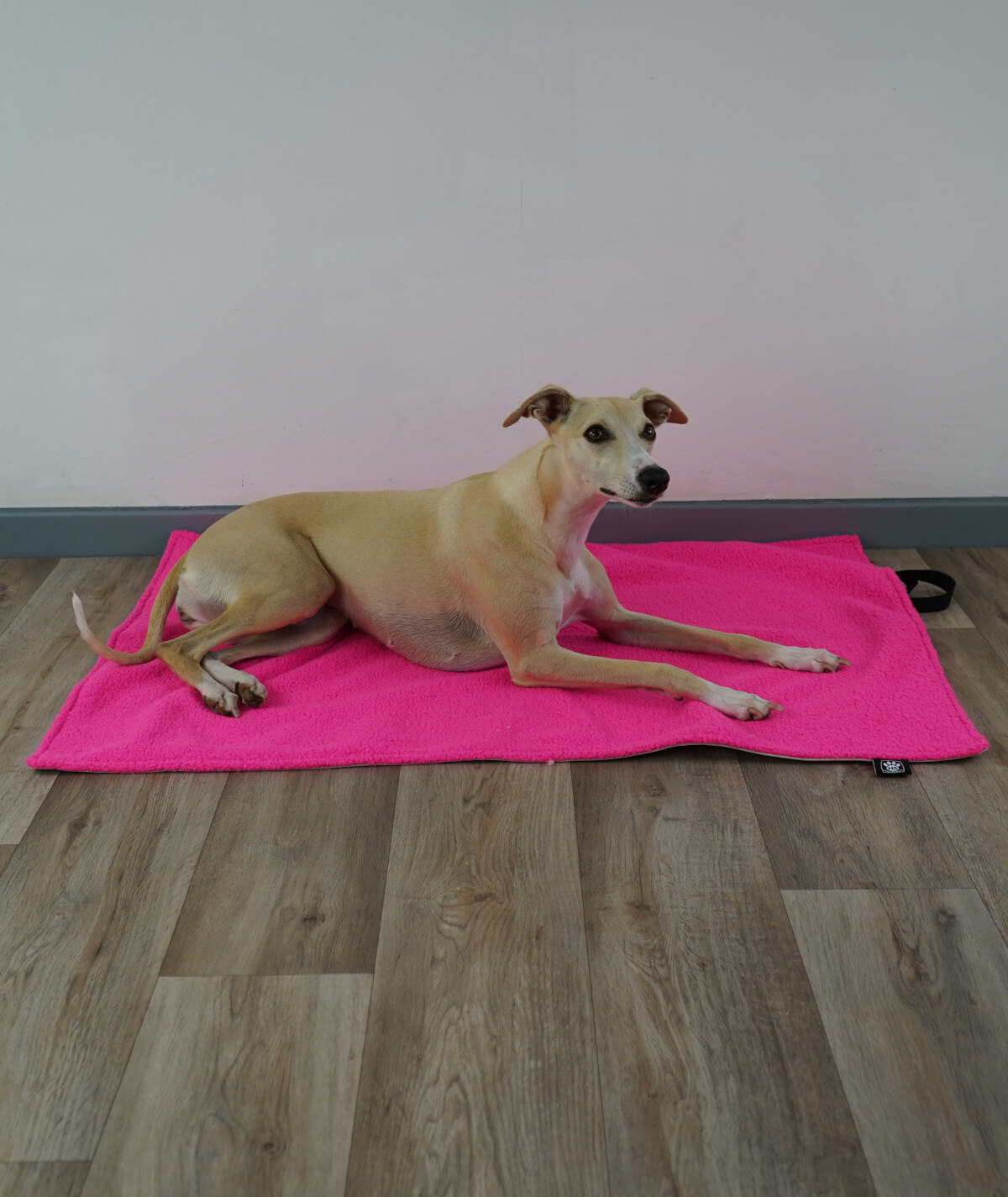 Couverture pour chien d'extérieur