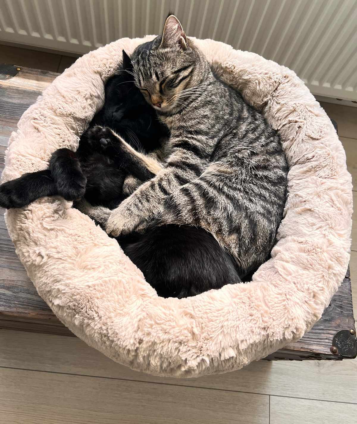 Katzenbett rund - weich, waschbar & rutschfest
