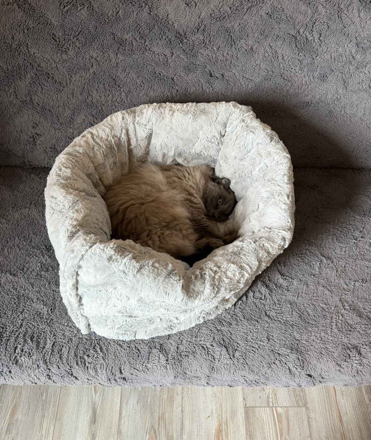 Katzenschlafsack Höhle – 2in1 Kuschelbett zum Einkuscheln & Verstecken