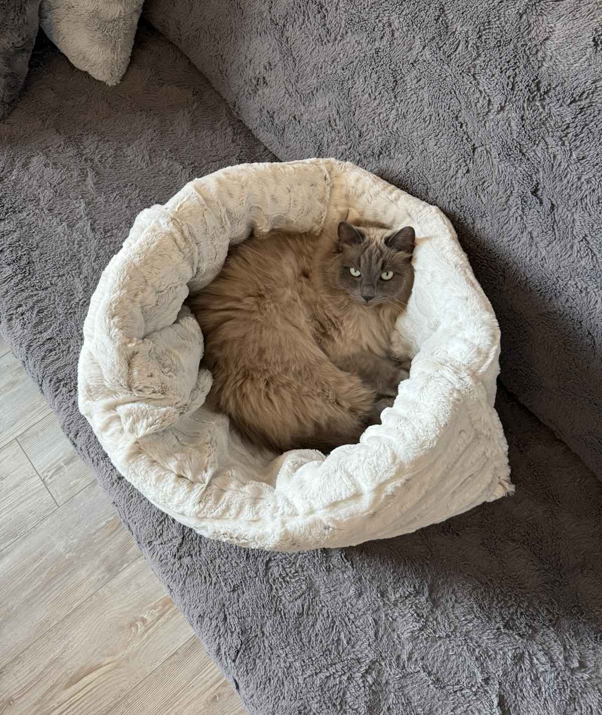 Katzenschlafsack Höhle – 2in1 Kuschelbett zum Einkuscheln & Verstecken